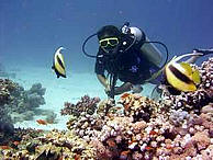 Deep sea diving in Wasini Island south of Mombasa